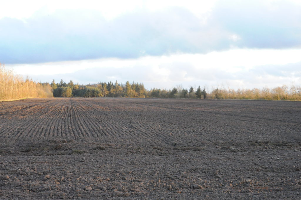 midt april 2015 102
