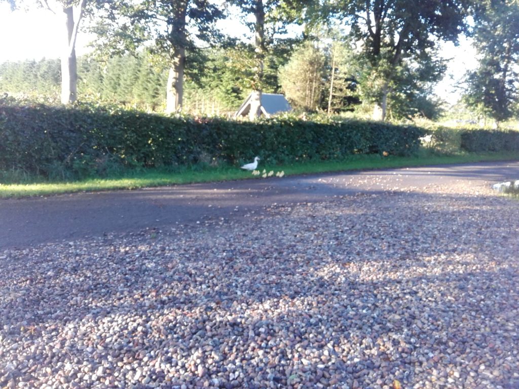20150925_085435[1]