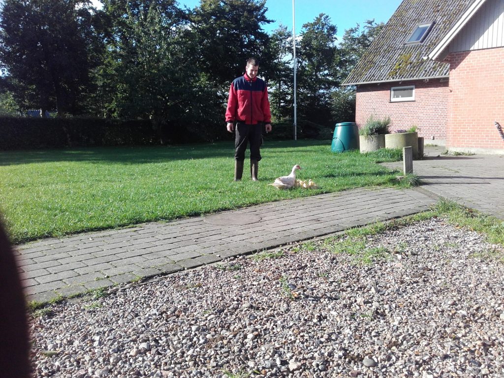 20150925_103159[1]